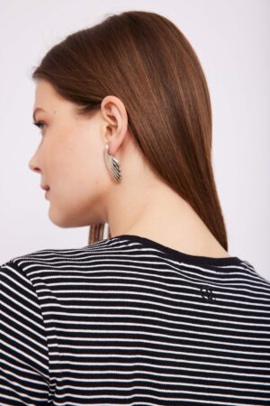 תיאור חזיתית של אוזן תנ